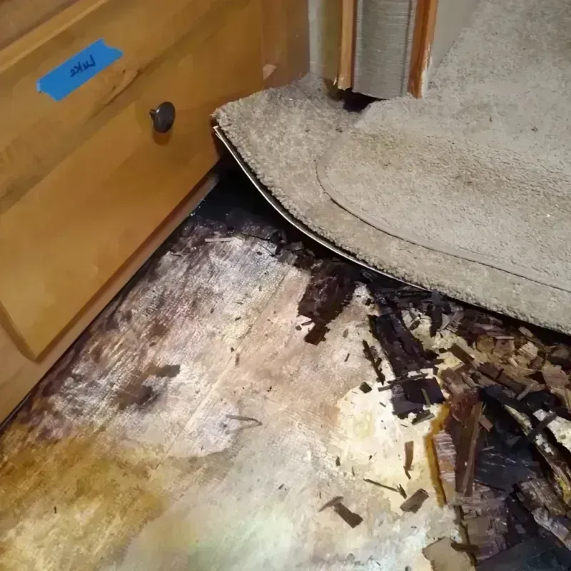 Wood Floor Water Damage in Spring Ridge, MD